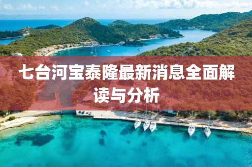 七臺河寶泰隆最新消息全面解讀與分析