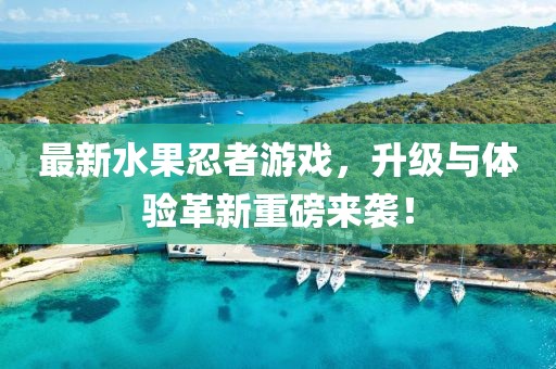最新水果忍者游戲，升級與體驗(yàn)革新重磅來襲！