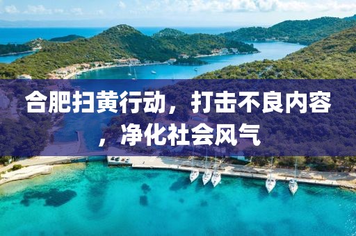 合肥掃黃行動(dòng)，打擊不良內(nèi)容，凈化社會(huì)風(fēng)氣