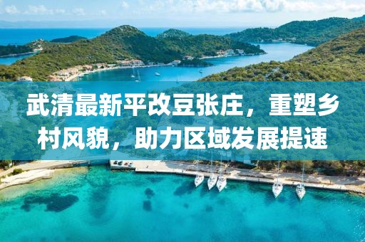 武清最新平改豆張莊，重塑鄉(xiāng)村風貌，助力區(qū)域發(fā)展提速