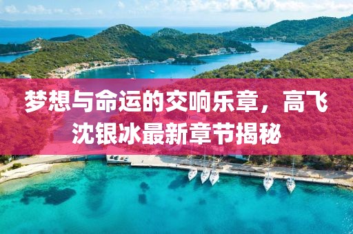 夢(mèng)想與命運(yùn)的交響樂(lè)章，高飛沈銀冰最新章節(jié)揭秘