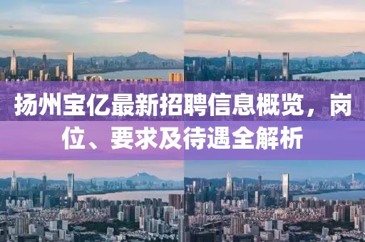 揚(yáng)州寶億最新招聘信息概覽，崗位、要求及待遇全解析