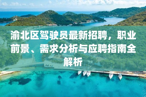 渝北區(qū)駕駛員最新招聘，職業(yè)前景、需求分析與應(yīng)聘指南全解析