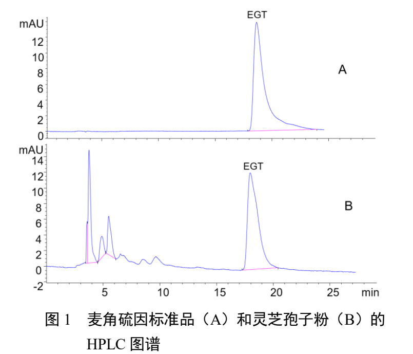 杭州亞運(yùn)會(huì)官方靈芝產(chǎn)品供應(yīng)商|杭州亞運(yùn)會(huì)官方供應(yīng)商|中國(guó)靈芝十大品牌|仙客來(lái)靈芝|仙客來(lái)靈芝破壁孢子粉|仙客來(lái)孢子油|仙客來(lái)靈芝飲片|仙客來(lái)破壁孢子粉|靈芝孢子油|孢子粉|靈芝破壁孢子粉|靈芝|中華老字號(hào)